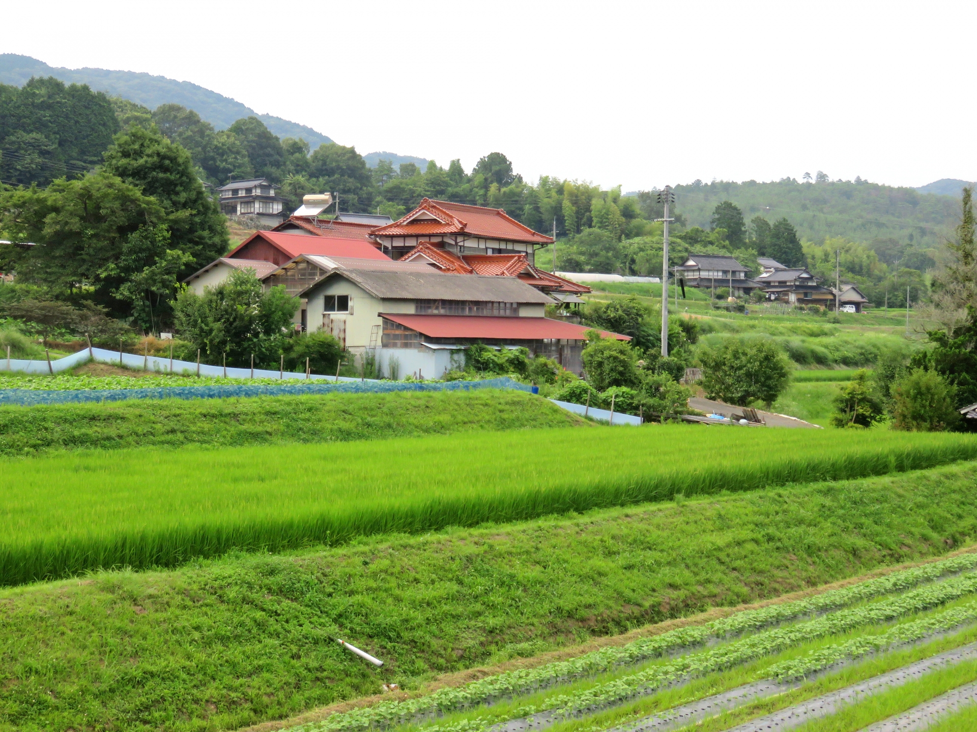 「市街化調整区域の土地は売れる？後悔しないための売却ポイントとは」